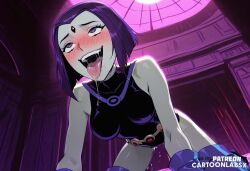 rachel roth from cartoon network