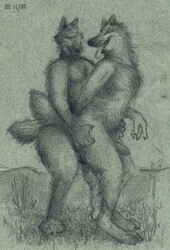 anal anthro bd canine fur furry male_only penetration penis sex