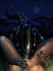 1girls 1other alien alien/human alien_(franchise) ambiguous_gender ambiguousdom breasts cunnilingus female female_human female_pov female_xenomorph femsub human interspecies meandraco oral oral_sex outside penetration pov pussy rape sex vaginal_penetration victim_pov xenomorph