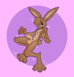anthro balls brown_body brown_fur cheek_tuft ear_piercing ear_ring erection facial_tuft fur genitals hi_res humanoid_genitalia humanoid_penis lagomorph leporid male mammal multicolored_body multicolored_fur nude open_mouth penis piercing purple_background rabbit ring_piercing simple_background solo tuft two_tone_body two_tone_fur wide_eyed xing1
