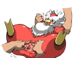 1girls anus blush blushing breasts butt confused delibird female fur furry nude open_mouth pokemon pokephilia pussy spreading thighs wet wet_pussy