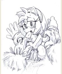 amy_rose anthro anus ass blush female fur furry furry_only giver_pov hedgehog insertion interspecies male male_pov monochrome nude penis pov randomguy999 sex simple_background sonic_(series) sonic_the_werehog straight traditional_media werehog white_background