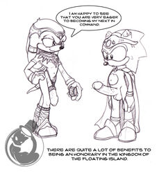 anthro dialog echidna erection fur furry hedgehog interspecies jewelry knuckles_the_echidna male male_only monochrome multiple_males neokat penis side_view sonic_(series) sonic_the_hedgehog standing tagme yaoi