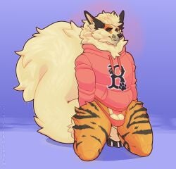 anthro arcanine balls barely_visible_balls barely_visible_genitalia barely_visible_penis black_body black_fur blue_background clothing fur generation_1_pokemon genitals hi_res hoodie kneeling male nintendo orange_body orange_fur penis pokemon pokemon_(species) simple_background sinisterheaven solo striped_body striped_fur stripes thick_thighs thong topwear underwear yellow_body yellow_fur