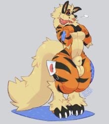 animal_genitalia animate_inanimate anthro arcanine balls blep claws collar fangs featureless_chest fully_sheathed fur generation_1_pokemon genitals grey_background hand_on_chest living_plushie male muscular nintendo nude_anthro nude_male paws pecs plushie pokemon pokemon_(species) sheath simple_background sinisterheaven solo standing teeth thick_thighs toe_claws tongue tongue_out yellow_body yellow_fur