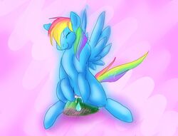 1girls ambiguous_gender blush closed_eyes equine female friendship_is_magic hooves interspecies masturbation my_little_pony mythological_creature mythological_equine mythology pegasus pussy rainbow_dash_(mlp) shell smile smooth_skin sweat tail tank_the_tortoise wet wings