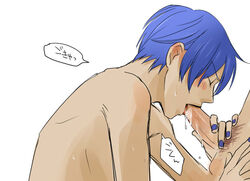 blue_hair kaito tagme vocaloid