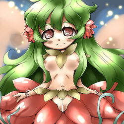 pinguicula ragnarok_online tagme