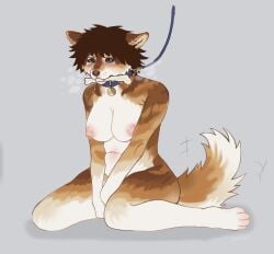 big_breasts blue blue_eyes bone bone_in_mouth boob_squish breasts brown_fur brown_hair canine chubby collar dog_girl edging embarrassed fluffy fluffy_ears fluffy_tail furry furry_female furry_only furry_tail horny horny_female humiliation husky leash leashed_collar mouth_gag naked panting puppy puppygirl puppyplay shiny_breasts short_hair shy sitting_on_floor skunknot steamy_breath submissive submissive_anthro submissive_female tomboy tummy wagging_tail white_fur