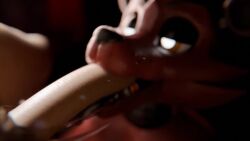 animated blowjob five_nights_at_freddy's foxy_(fnaf) human_on_anthro human_penetrating nastytentaclee sex sound tagme video