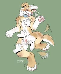>_< 2025 8_nipples andromorph andromorph_anthro anthro arm_tuft belly_nipples big_clitoris birdpaw_(artist) blue_collar blush bodily_fluids breath brown_body brown_fur brown_tail button_ears canid canine canis cheek_tuft chest_tuft clitoris closed_eyes collar collar_only countershade_face countershade_torso countershading dated digital_drawing_(artwork) digital_media_(artwork) disembodied_hand domestic_dog elbow_tuft facial_tuft feet floppy_ears full-length_portrait fur genital_fluids genitals gloves_(marking) green_background hand_on_another's_belly hand_on_another's_chest hand_on_another's_head hand_on_another's_leg hand_on_belly hand_on_cheek hand_on_head hand_on_leg handpaw hi_res hindpaw humanoid_genitalia humanoid_vulva intersex intersex_anthro mammal markings mastectomy_scar mottled mottled_inner_ear mottled_nose mottled_pawpads multi_nipple nipples nude nude_andromorph nude_anthro pawpads paws petting pink_clitoris pink_inner_ear pink_nipples pink_pawpads pink_scar pink_vulva portrait scar shoulder_tuft simple_background solo solo_focus tail tail_motion tailwag tan_body tan_fur tan_tail teeth text tongue tongue_out trans_(lore) trans_man_(lore) tuft vaginal_fluids vulva white_body white_countershading white_fur white_hands white_tail white_text