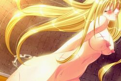 blonde_hair blush bondage closed_eyes long_hair nipples nude whip_marks wooden_horse