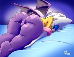 rouge the bat from sega by mrmasato