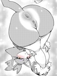 blaze the cat from sonic (series) by pochincoff