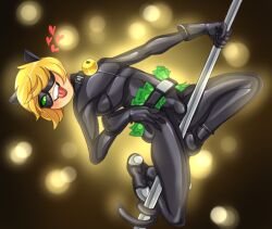 adrien agreste from miraculous ladybug by unknown artist