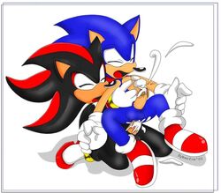 furry hedgehog male multiple_males shadow_the_hedgehog sonic_(series) sonic_the_hedgehog syberfox tagme yaoi