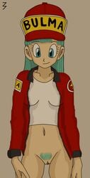 3pac bulma_briefs dragon_ball dragon_ball_(classic) female female_only human pubic_hair pussy solo tagme