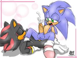 furry hedgehog male multiple_males shadow_the_hedgehog sonic_(series) sonic_the_hedgehog syberfox tagme yaoi