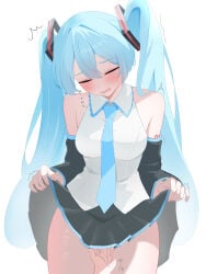 hatsune miku from vocaloid