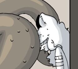 2boys 2d 2d_animation against_wall animated ass big_ass brown_body brown_fur crush crushed crushed_by_ass crushing dominant domination face_in_ass facesitting femboy fox furry furry_only gay gay_domination gay_male luvia_(mermio) male male/male male_focus male_only mp4 naked naked_male niutrolly nude nude_male oc otter otter_tail smothering smothering_ass snout_fuck snout_in_ass sound sound_effects submissive submissive_male sweat sweatdrop sweating sweaty tagme video wolf