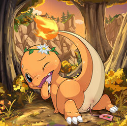 charmander from nintendo by tricksta