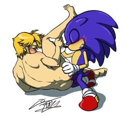 2011 2boys blue_fur crossover fur furry hedgehog interspecies link male male_only mammal multiple_males rockgaara sonic_(series) sonic_the_hedgehog the_legend_of_zelda yaoi