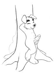 1boy animal_crossing anthro artist_request balls canine dog holding_balls k.k._slider leaning male male_only monochrome nintendo nude penis solo source_request standing toony totakeke tree wink year_request