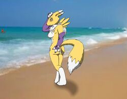 3_fingers anthro ass back_view barefoot beach black_nose black_sclera blue_eyes blush breasts claws closed_mouth color day digimon female fur furry furry_ass furry_breasts furry_ears furry_tail guilmon hand_on_ass hand_on_head moltsi open_eyes outdoors pointy_ears renamon sand sky tail water white_fur yellow_fur