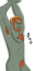 ganondorf ganondorf_(twilight_princess) male male_only nude solo solo_male tagme the_legend_of_zelda twilight_princess