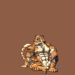 2017 anthro feline fur lin_hu male male_only mammal nekojishi tagme tiger