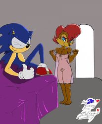 anthro clothes color female fur furry gesture hedgehog indoors interspecies male mammal nude sally_acorn see-through sonic_(series) sonic_the_hedgehog standing thumbs_up zulana