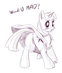 anus ass dress equine friendship_is_magic horn monochrome my_little_pony pussy sketch smooth_skin synad tail twilight_sparkle_(mlp) unicorn upskirt