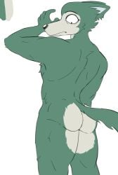 ass beastars camberally furry legoshi_(beastars) looking_at_own_ass looking_at_own_butt looking_back naked nude tagme wolf