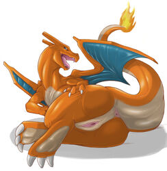 charizard from nintendo by narse