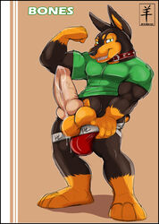 2013 aaron_(artist) anthro balls bones_(character) canine canine_penis collar erection flexing green_eyes knot looking_at_viewer male male_only muscles penis precum smile underwear undressing vein veiny_penis