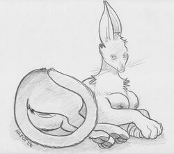 2011 Rule 34 Image