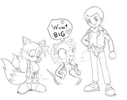 amy_rose danny fur furry_tail miles_tails_prower multiple_tails penis_size_comparison penis_size_difference small_penis_humiliation sonic_(series) sonic_x tail