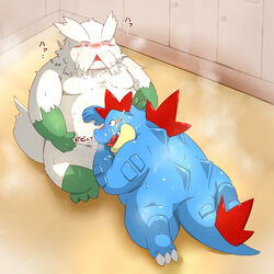 2011 abomasnow censored feraligatr nintendo pixiv2158252 pokemon tagme