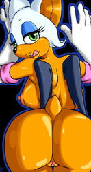 rouge the bat from sonic (series) by mindsedge