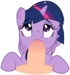 1boy1girl animal animated boggle friendship_is_magic interspecies looking_at_viewer my_little_pony pov smooth_skin twilight_sparkle_(mlp)