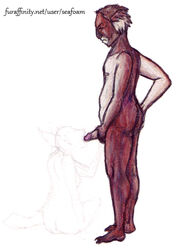 1boy anthro ass brown_hair claws erection fur furry hair koala looking_down male male_only marsupial nude penis presenting seafoam short_hair solo standing traditional_media