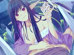 mamono musume-tachi to no rakuen ~kumo to tori to hitotsume to~ fan art