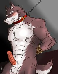 2013 abs anthro balls biceps canine closed_eyes erection fur hentist hideo_katashi_(character) male male_only muscles nude pecs penis pose solo wolf