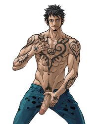 trafalgar law from one piece by cywies