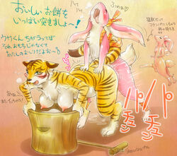 anthro bent_over breasts comedy feline funny fur furry hanging_breasts interspecies mammal melonleaf penis rabbit rape tiger translation_request upset wet