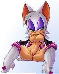 anthro bat bat_wings breasts exposed_torso female female_only footwear fur furry furry_ears gloves handwear mammal milk nipples non-human_areolae pussy rouge_the_bat sega smile solo sonic_(series) sonic_the_hedgehog_(series) spread_legs uncensored wings