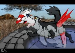 cumming earrings full_tour furry latias male male_only mightyena no_humans outside penis pokemon pokemon_(species) pokemon_rse roco saliva scalie sex vore