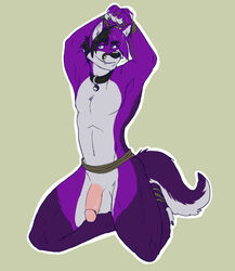 1boy anthro arody balls blue_eyes bondage bound canine folf fox fur furry looking_at_viewer male male_only mutant-serpentina mutant_serpentina nude penis purple rope smile solo tail wolf