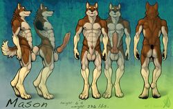 1male 2011 anthro backsack balls big_balls big_penis canine canine_penis color erection flaccid fully_sheathed fur furry hi_res huge_cock knot knotted_penis looking_at_viewer male male_only mason_(suck_mcjones) model_sheet multiple_angles muscles nipples nude penis plain_background sheath sidesack smile solo standing suck_mcjones tail veins