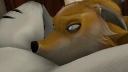 3d animated anthro bed breasts cunnilingus death duo female female_death fox furry interspecies male neck_snap no_sound pussy sillayer snuff tagme tiger video yuri